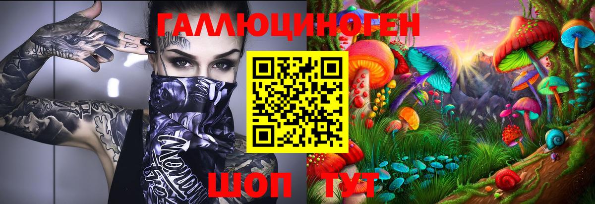 Галлюциногенные грибы GOLDEN TEACHER Ахтубинск